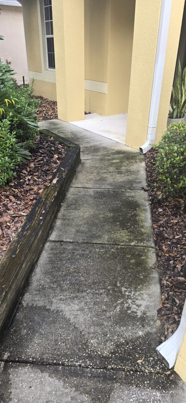 Before Driveway Pressure Washing